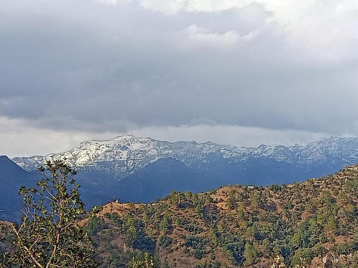 Shiva Valley Resort Kokhliyal Gaon Экстерьер фото